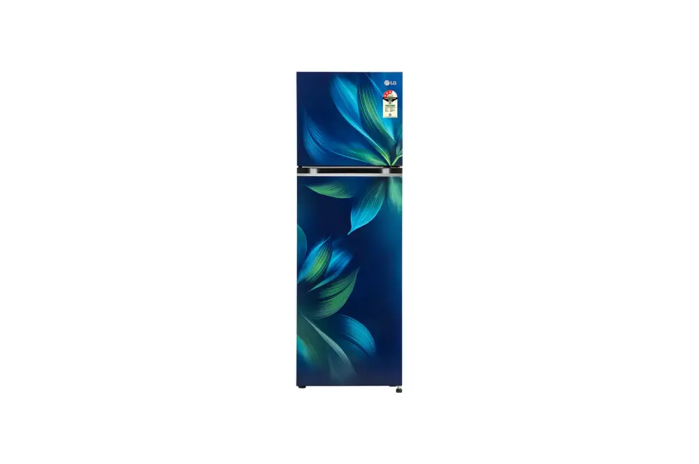 LG 246L Double Door (CONVERTIBLE) Refrigerator with Smart Diagnosis, Multi-Air Flow, Blue Aurora Finish, 3-Star GL-S262SBAX
